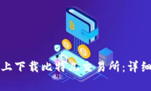 如何在苹果手机上下载比特儿交易所：详细步骤与注意事项