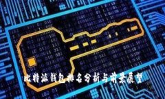 比特派钱包排名分析与前景展望