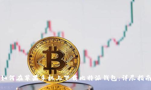 如何在苹果手机上下载比特派钱包：详尽指南