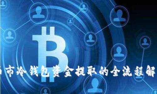 币市冷钱包资金提取的全流程解析
