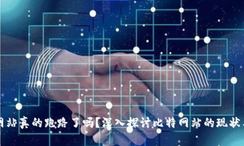 比特网站真的跑路了吗？深入探讨比特网站的现状与未来
