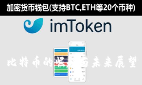 比特币的崛起与未来展望