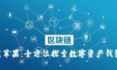 官方比特派app下载苹果：全方位探索数字资产钱