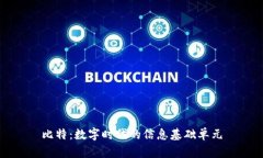 比特：数字时代的信息基础单元