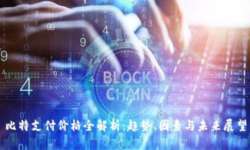 比特支付价格全解析：趋势、因素与未来展望