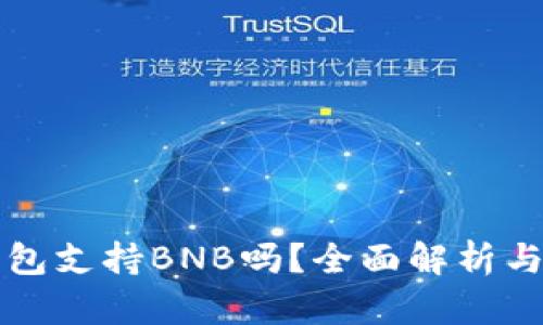 比特派钱包支持BNB吗？全面解析与使用指南