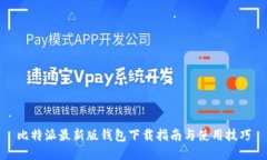 比特派最新版钱包下载指南与使用技巧
