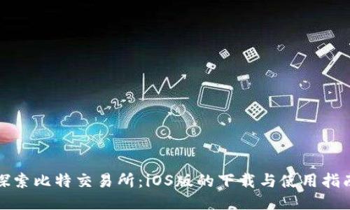 探索比特交易所：iOS版的下载与使用指南