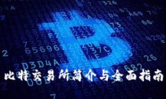 比特交易所简介与全面指南