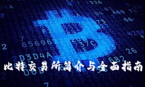 比特交易所简介与全面指南