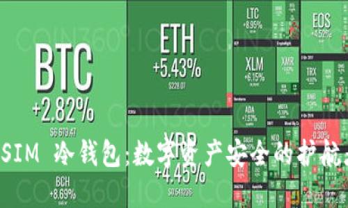 DSIM 冷钱包：数字资产安全的护航者