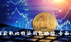 如何获取比特派钱包地址：全面指南