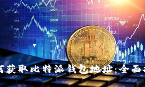 如何获取比特派钱包地址：全面指南