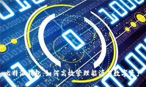 比特派钱包：如何高效管理能源与数字资产