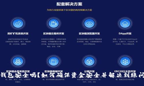 冷钱包安全吗？如何确保资金安全并解决到账问题