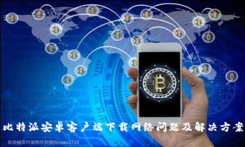 比特派安卓客户端下载网络问题及解决方案
