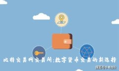 比特交易网交易所：数字货币交易的新选择