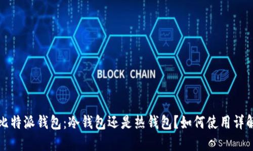 比特派钱包：冷钱包还是热钱包？如何使用详解