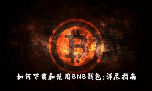 如何下载和使用BNB钱包：详尽指南
