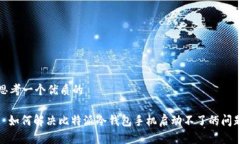 思考一个优质的: 如何解决比特派冷钱包手机启动