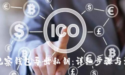 :
如何从观察钱包导出私钥：详细步骤与注意事项