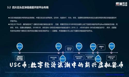  USC币：数字经济浪潮中的新兴虚拟货币