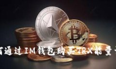 如何通过IM钱包购买TRX能量详解