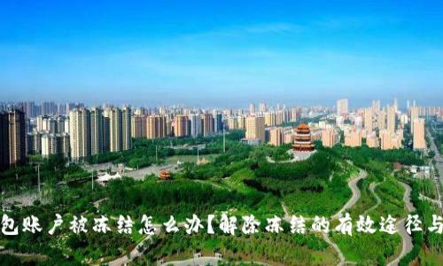 虚拟冷钱包账户被冻结怎么办？解除冻结的有效途径与预防措施