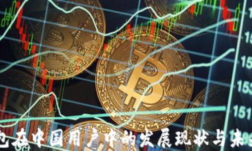 
IM钱包在中国用户中的发展现状与未来趋势