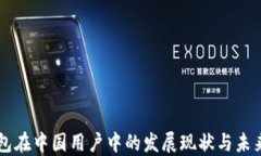 IM钱包在中国用户中的发展现状与未来趋势