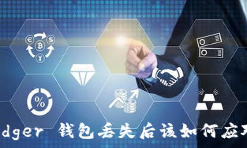   
Ledger 钱包丢失后该如何应对？
