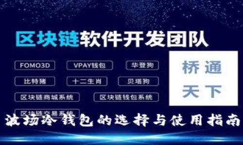 波场冷钱包的选择与使用指南