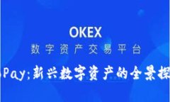 GoPay：新兴数字资产的全景探讨