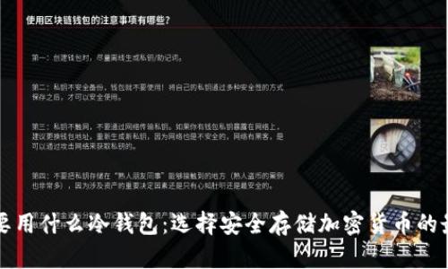 美国主要用什么冷钱包：选择安全存储加密货币的最佳方案