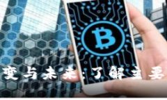 数字货币的演变与未来：了解主要类型及其影响