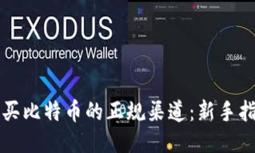 购买比特币的正规渠道：新手指南