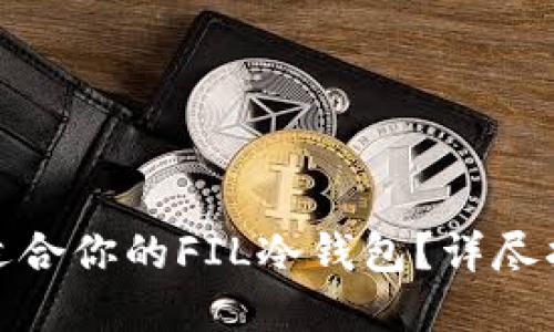 如何选择适合你的FIL冷钱包？详尽指南与比较