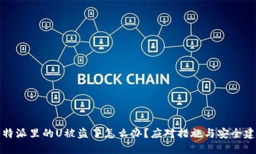 比特派里的U被盗了怎么办？应对措施与安全建议