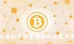 :探索国内虚拟币交易网站的发展历程与现状