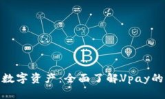 保护你的数字资产：全面了解Vpay的PC冷钱包