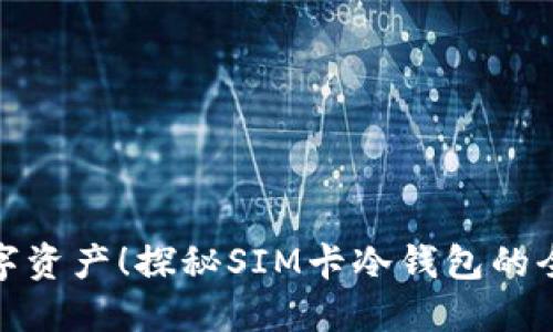 保护你的数字资产！探秘SIM卡冷钱包的全新安全策略
