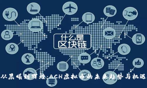 从晨曦到辉煌：ACH虚拟币的未来趋势与机遇