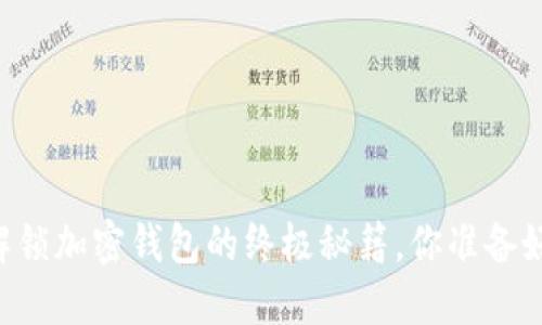 手机解锁加密钱包的终极秘籍，你准备好了吗？