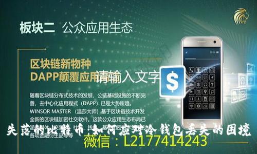 失落的比特币：如何应对冷钱包丢失的困境