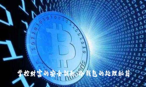 掌控财富的安全钥匙：冷钱包的处理秘籍