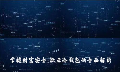 掌握财富安全：微云冷钱包的全面解析