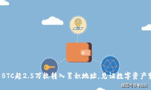 タイトル: BTC超2.5万枚转入累积地址，见证数字资产变革的力量！