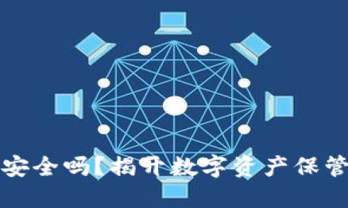 货币冷钱包安全吗？揭开数字资产保管的神秘面纱