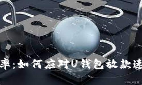 提升金融效率：如何应对U钱包放款速度慢的问题