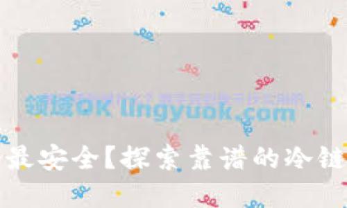 冷链钱包哪个最安全？探索靠谱的冷链资金管理方案
